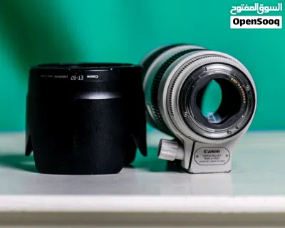 70_200 mark III 2