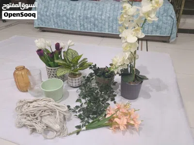 Home Decor - Artificial Plants and Pots For Sale (Altogether - 10 OMR) 2