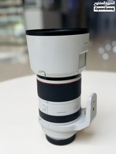 Canon RF 70-200mm 2.8 USM 3
