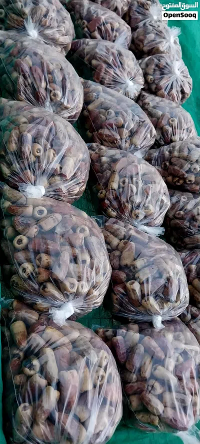 تمر نغال جريجرو للبيع 3