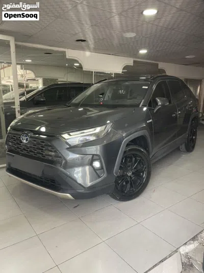 Toyota RAV 4 XLE 3