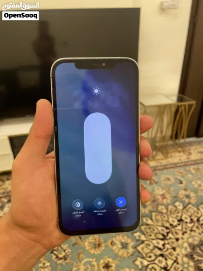 12 برو ماكس كزيوني 2