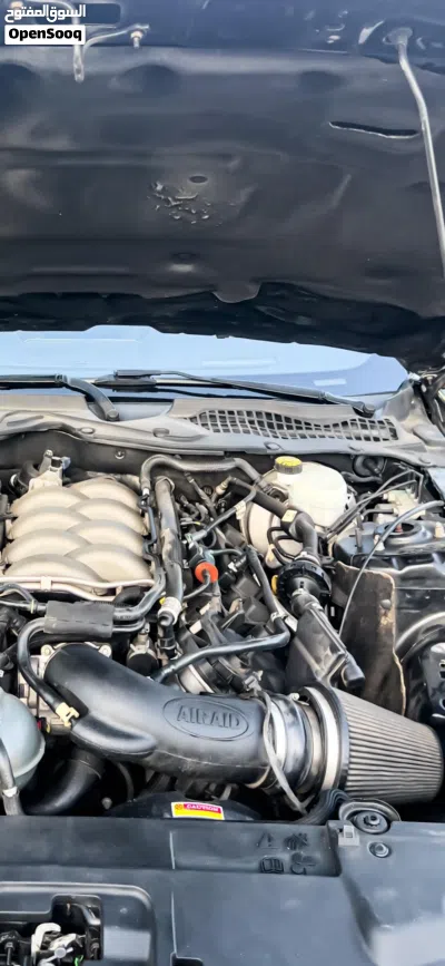 فورد GT 2