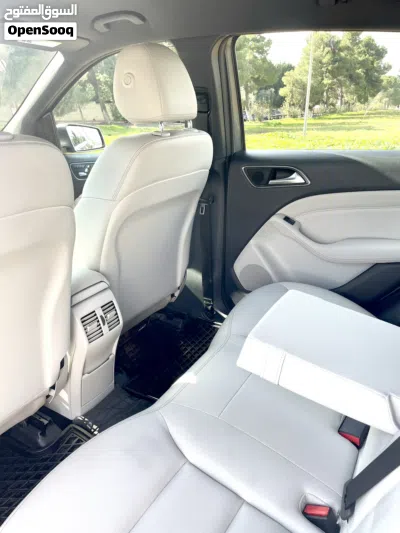 Mercedes Benz B-Class B 250 4