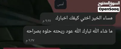 Abir Al-Asalah 4