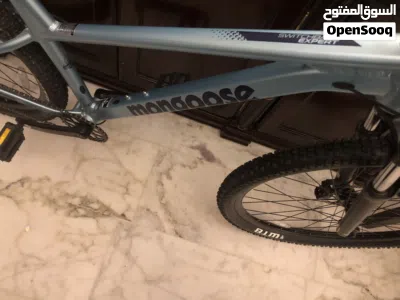 Mongoose bicycle 2