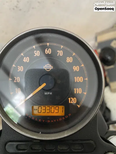 Harley Davidson Iron 883 2