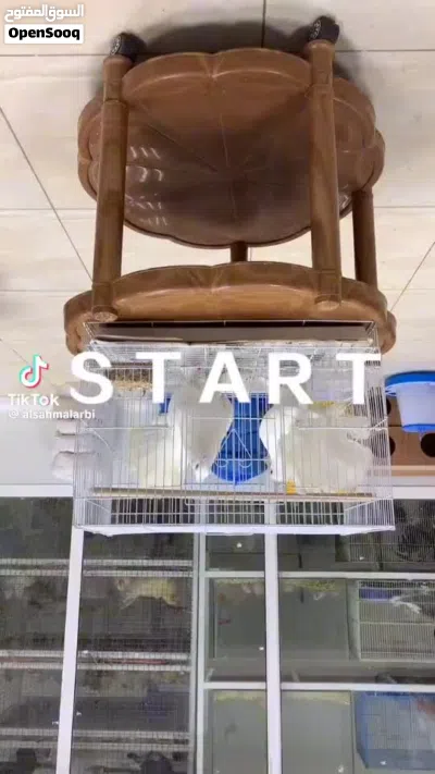 حمام شمسي للبيع الي له خاطر يتواصل خاص انثى وا ذكر زوج عق سعرك عجبني شلهن 2