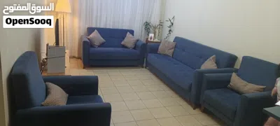 تخم نظيف لون نيلي 3