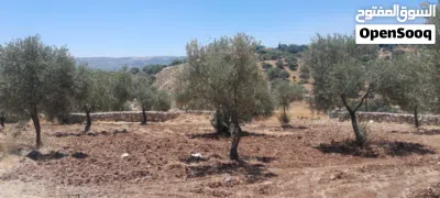 قطعه ارض مطله 2