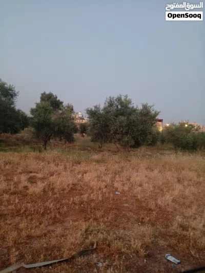 نمره للبيع مساحه 800 متر 2