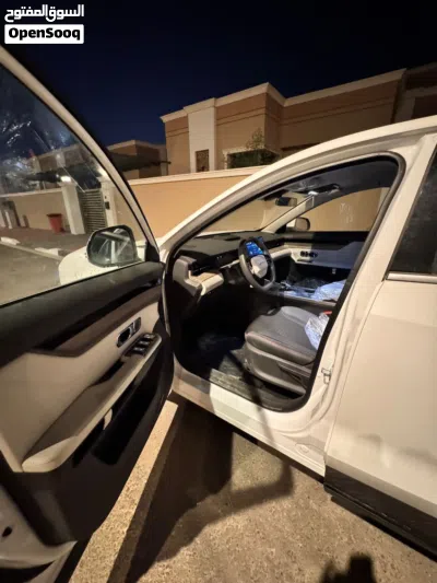جیتۆر داشێنگ 4