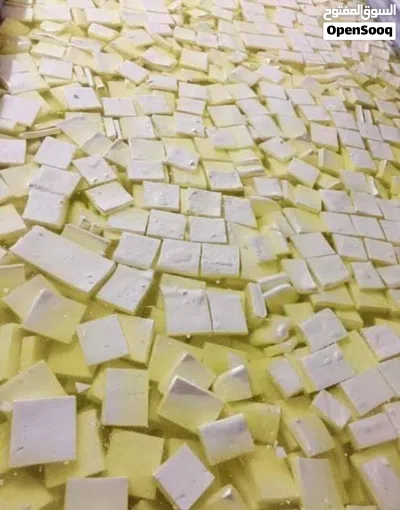 جبنة غنم بلدية مغلية مكفولة شغل جديد 2