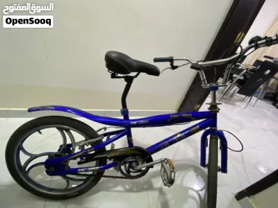 SW- Aluminium Rim Bicycle 2