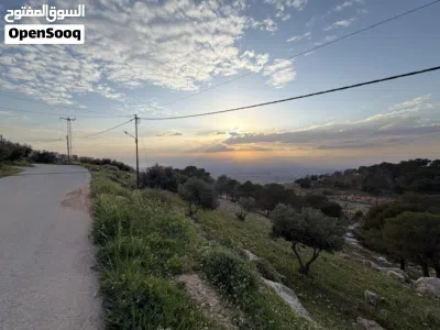 أرض مميزة بإطلالة غربية على البحر الميت بالقرب من عمّان 2
