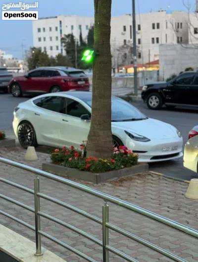 Tesla Model 3 Performance 4