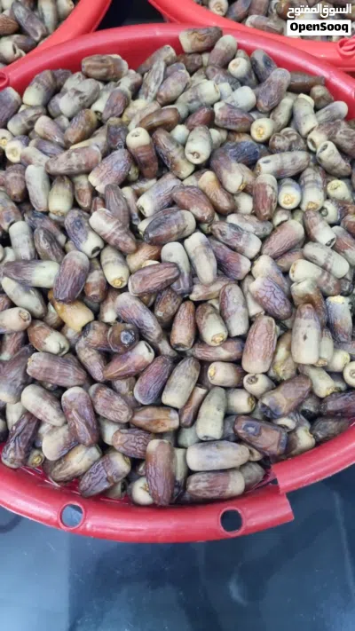 للبيع تمر نغال مال السنه 3