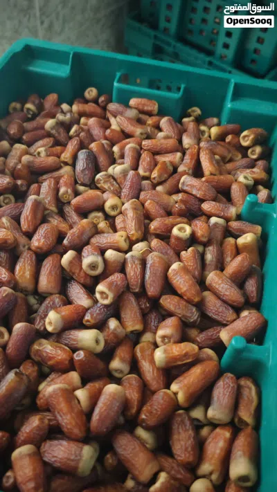 تمر جريجرو فاخر 3