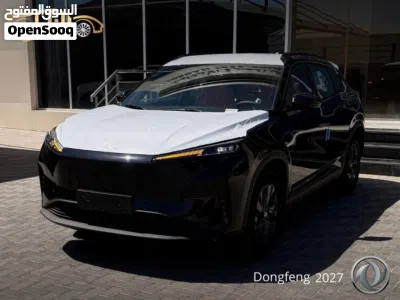 Dongfeng Sky EV01 4