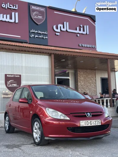 Peugeot 307 Base 4