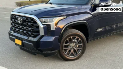 Toyota Tundra Platinum 3