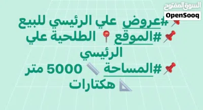 عروض في الطلحية من 1000 متر الي هكتارات فرعي ورئيسي 3
