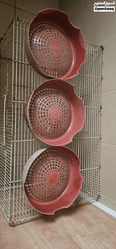 pigeon breeding bowl for sale 3