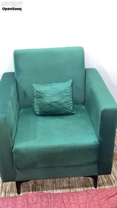 تخم قنفات للبيع 4