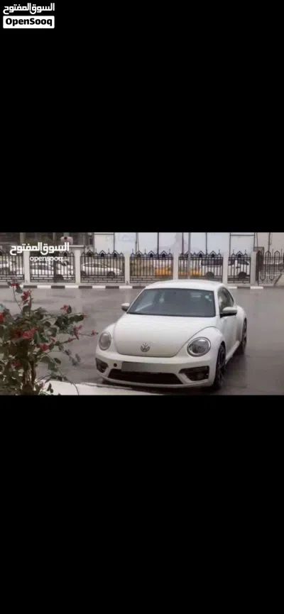 Volkswagen Beetle Standard 2