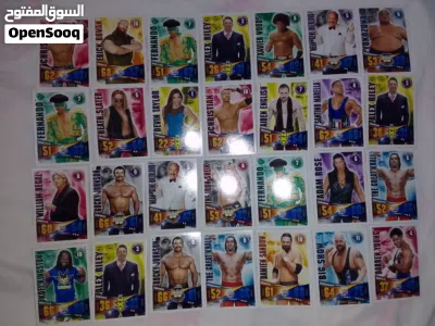 بطاقات WWE الإحترافية 2014 4