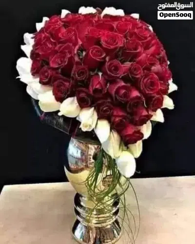 مساج لكبار السن فقط . جدة 2