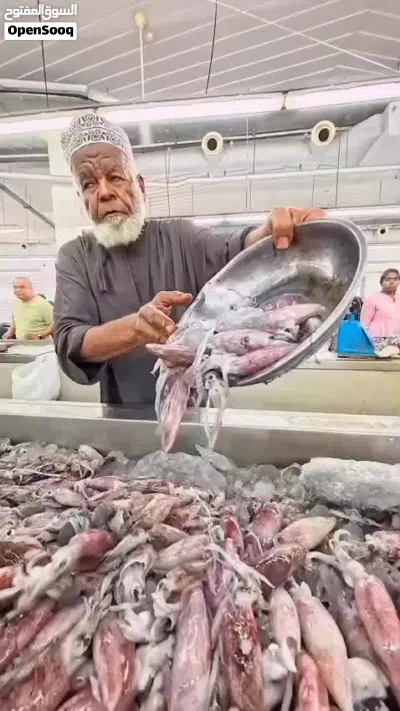 ابحث عن شريك في مشروع بيع الأسماك 2