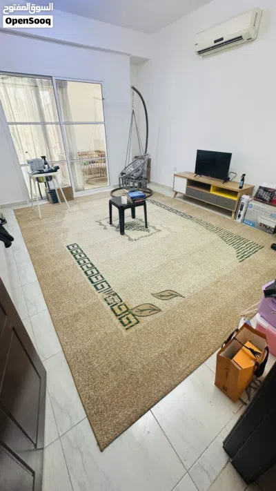 luxurious Carpet - Perfect condition 2