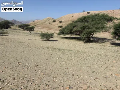 ارض سكنية في مدينة النهضة - المرحلة الخامسة \ العامرات 3