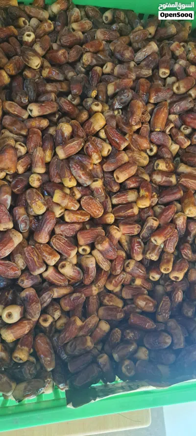 سح نغال جريروا للبيع 3