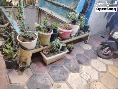 undefined 2