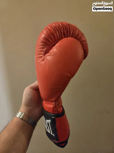 Everlast 12oz Leather Boxing Gloves 4
