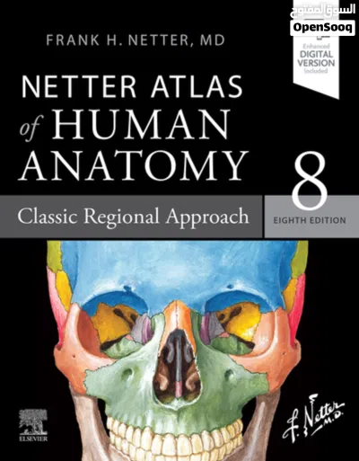 شرح مادة الاناتومي ( علم التشريح البشري ) لكل التخصصات الطبية - Anatomy teaching 3
