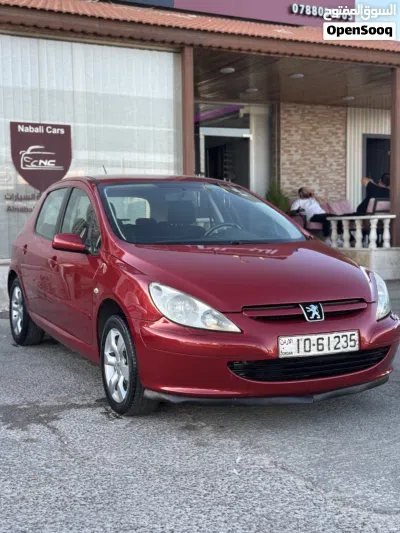 Peugeot 307 Base 3
