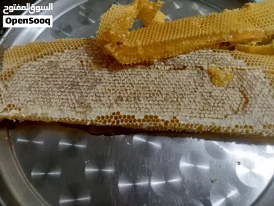 عسل طبيعي من جبال جرش 4