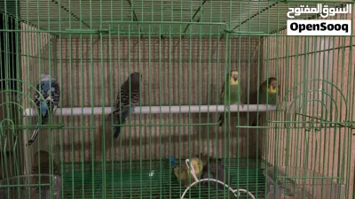 undefined 2