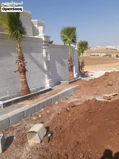 نخيل الوسام 2