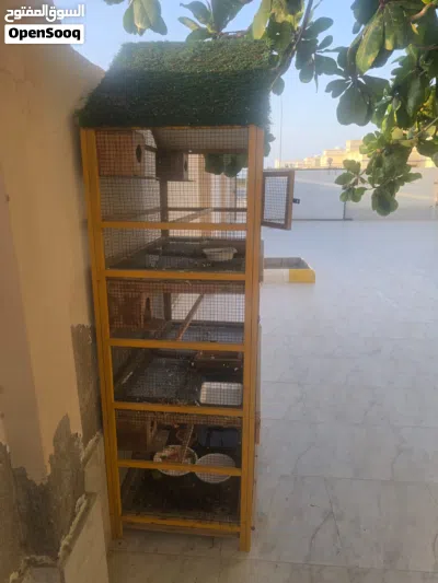 قفص كبير لطيور 3