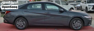 Hyundai Elantra Sport 4