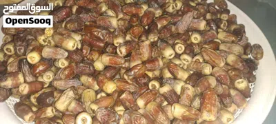 سح نغال جريروا للبيع 4