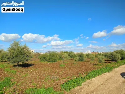 قطعة ارض في حوفا الوسطية للبيع 3