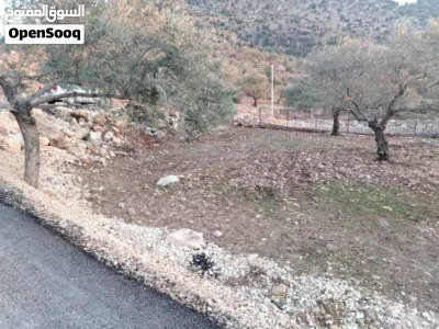 ارض للبيع مفروزة بقوشان مستقل 2