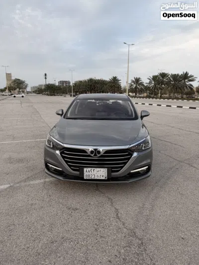 BAIC Other 4