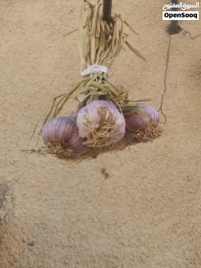 undefined 2