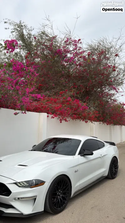 Ford Mustang GT Premium 3